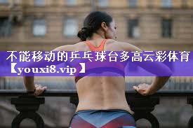 不能移动的乒乓球台多高云彩体育