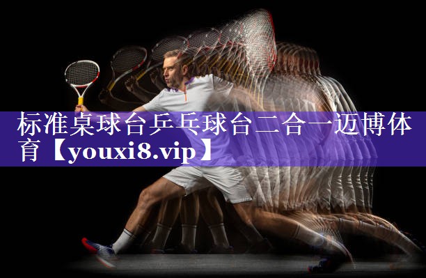 标准桌球台乒乓球台二合一迈博体育