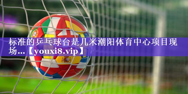 标准的乒乓球台是几米潮阳体育中心项目现场…