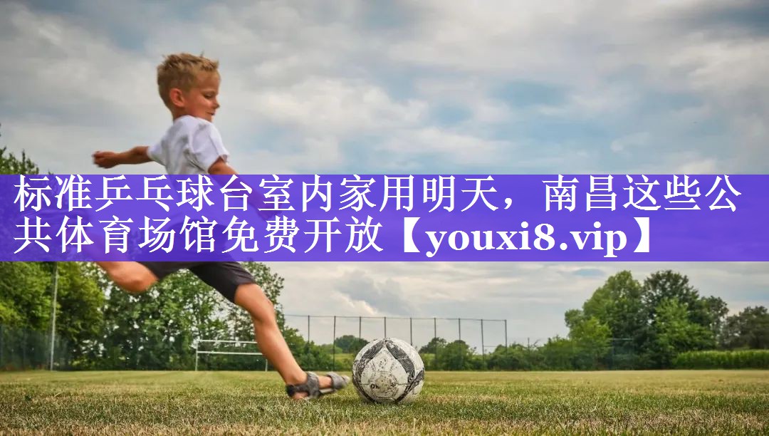 标准乒乓球台室内家用明天，南昌这些公共体育场馆免费开放