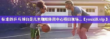 标准的乒乓球台是几米潮阳体育中心项目现场…