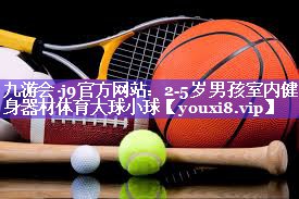 九游会·j9官方网站：2-5岁男孩室内健身器材体育大球小球