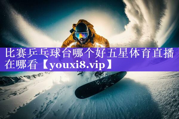 比赛乒乓球台哪个好五星体育直播在哪看